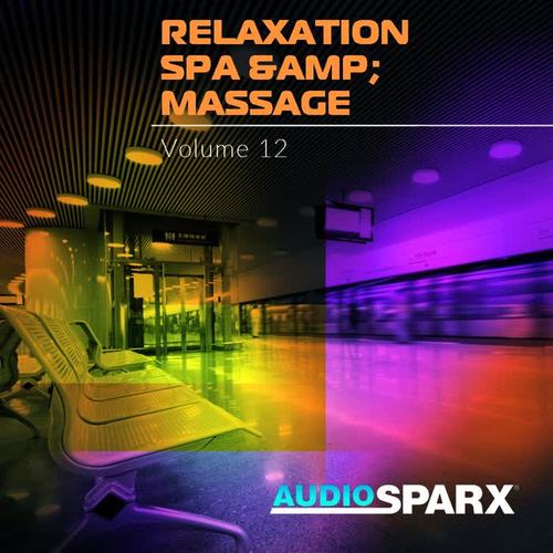 Relaxation Spa & Massage Volume 12