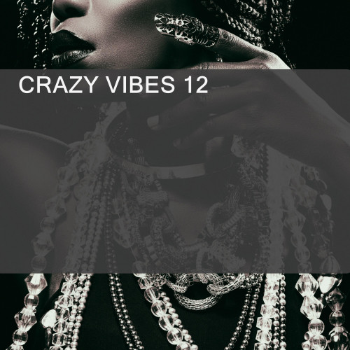 CRAZY VIBES 12