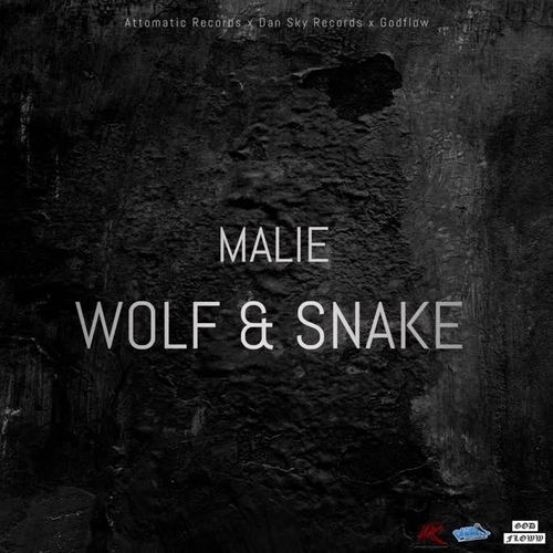 Wolf & Snake