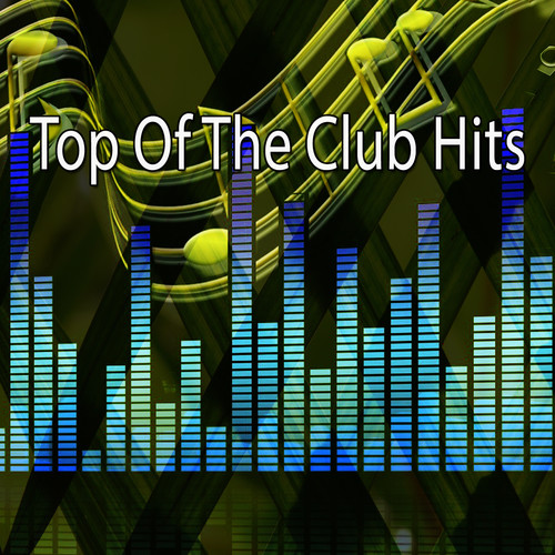 Top of the Club Hits