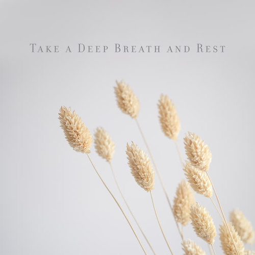 Take a Deep Breath and Rest