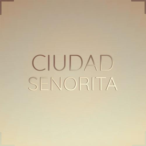 Ciudad Senorita