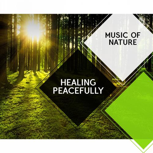 Healing Peacefully - Music of Nature