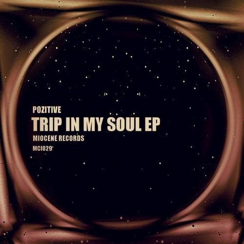 Trip In My Soul