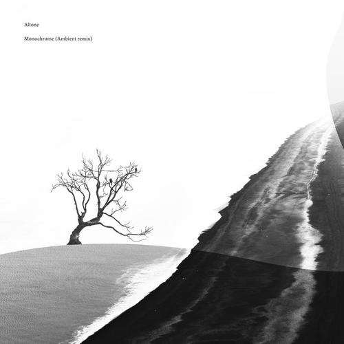 Monochrome (Ambient Remix)