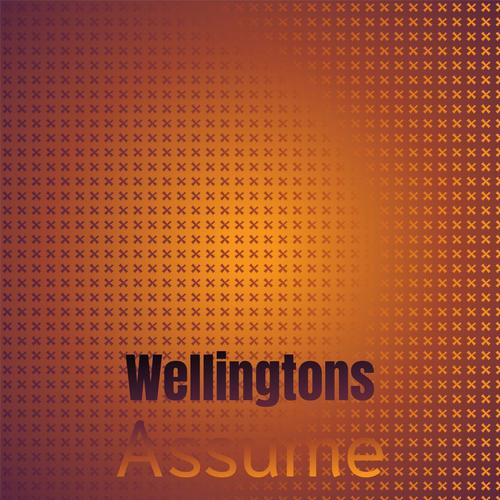 Wellingtons Assume