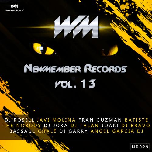 Newmember Records Vol.13 (Explicit)