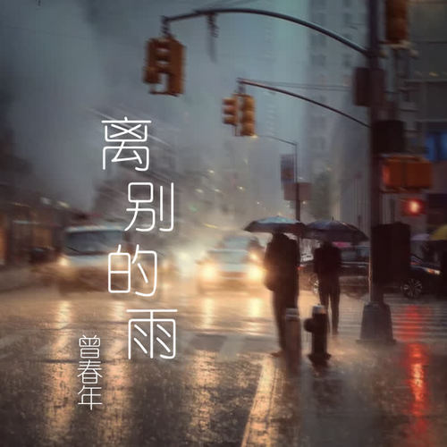 离别的雨