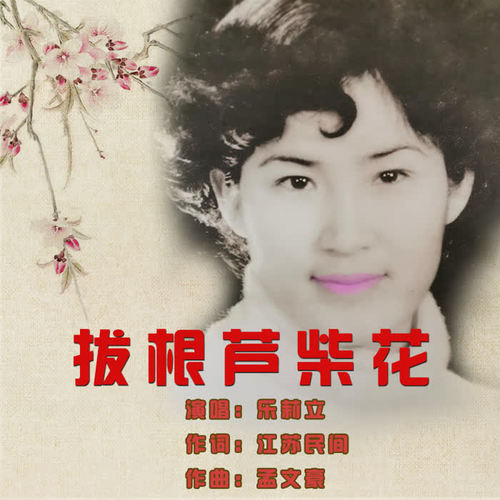 拔根芦柴花