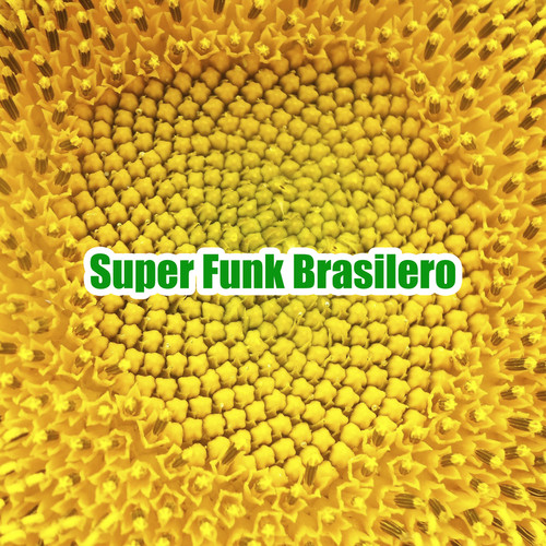 Super FUNK Brasilero (Explicit)