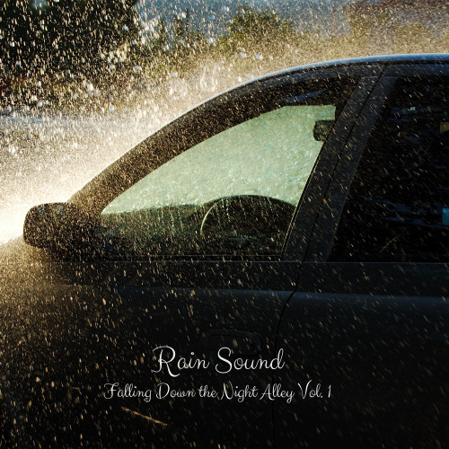 Rain Sound: Falling Down the Night Alley Vol. 1