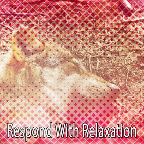 Respond With Relaxation