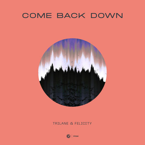 Come Back Down