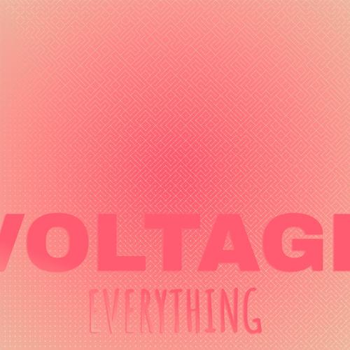 Voltage Everything