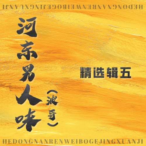 河东男人味(波哥)精选辑五