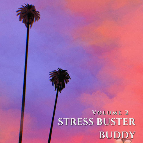 Stress Buster Buddy Vol 2 (Explicit)