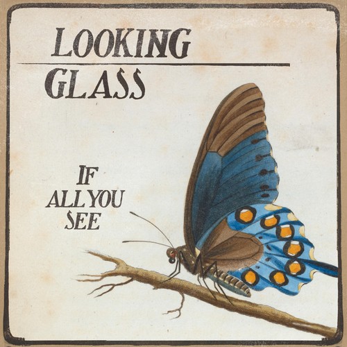 If All You See