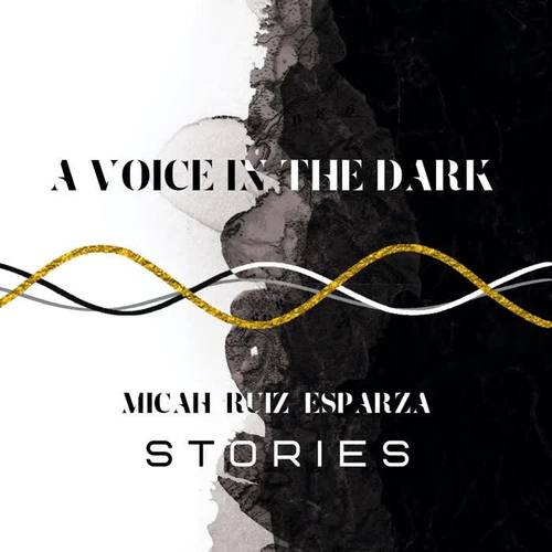 A Voice in the Dark