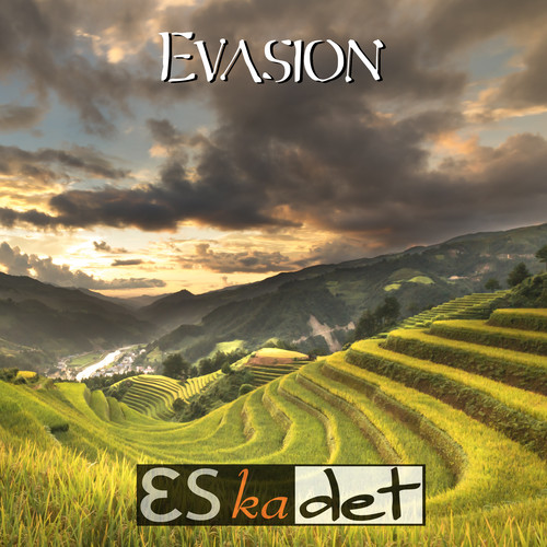 Evasion