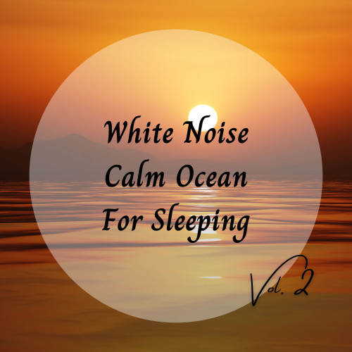 White Noise Calm Ocean For Sleeping Vol. 2