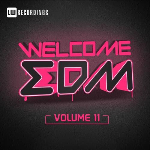 Welcome EDM, Vol. 11