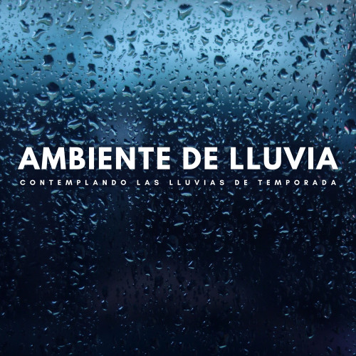 Ambiente De Lluvia: Contemplando Las Lluvias De Temporada