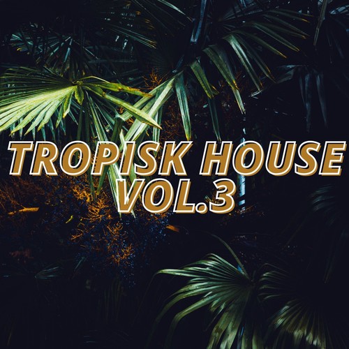 Tropisk House Vol.3