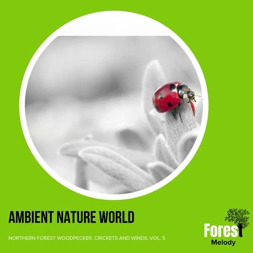 Ambient Nature World - Northern Forest Woodpecker, Crickets and Winds, Vol. 5