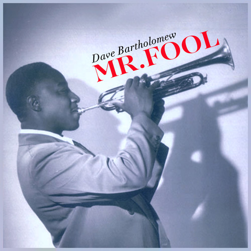 Mr. Fool