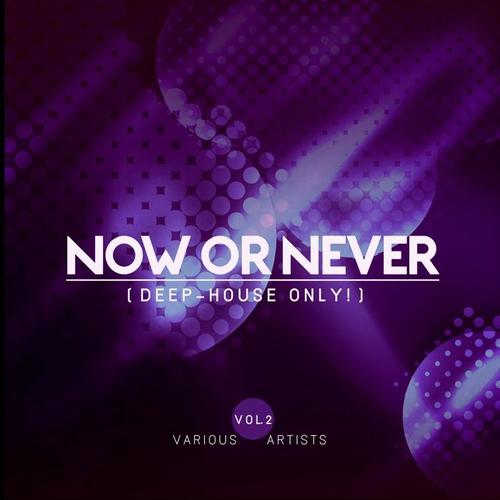 Now Or Never, Vol. 2 (Deep-House ONLY!)