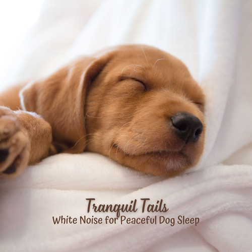 Tranquil Tails: White Noise for Peaceful Dog Sleep