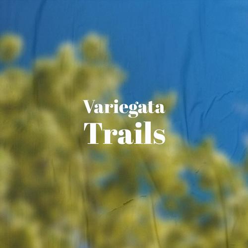 Variegata Trails