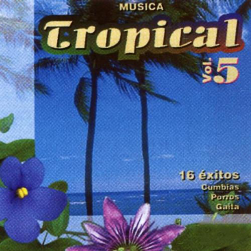 Música Tropical: 16 Éxitos (Vol. 2)