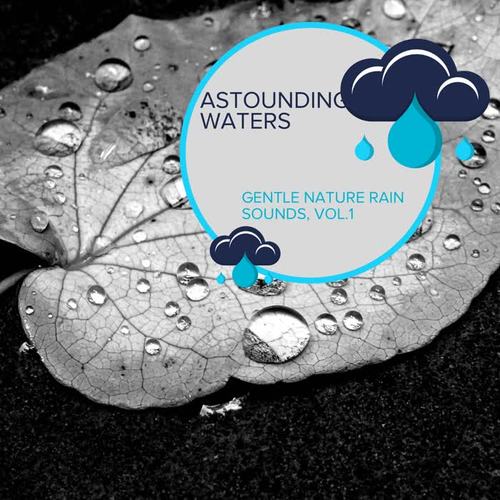 Astounding Waters - Gentle Nature Rain Sounds, Vol.1