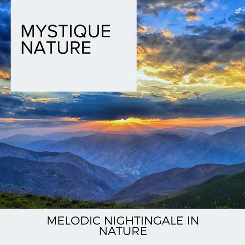 Mystique Nature - Melodic Nightingale in Nature