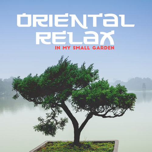 Oriental Relax in My Small Garden