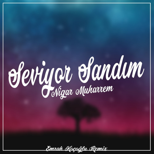 Seviyor Sandım (Remix)