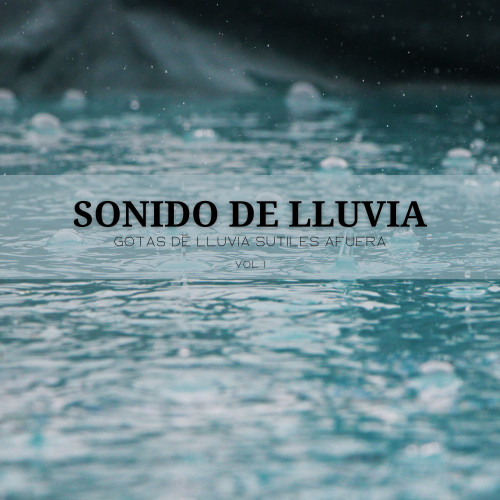 Sonido De Lluvia: Gotas De Lluvia Sutiles Afuera Vol. 1