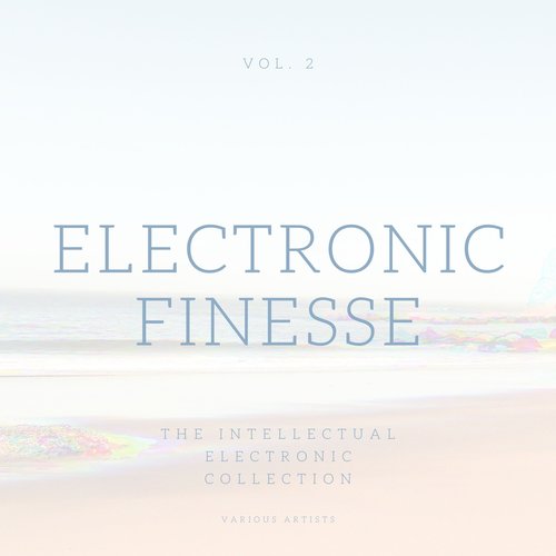 Electronic Finesse (The Intellectual Electronic Collection) , Vol. 2