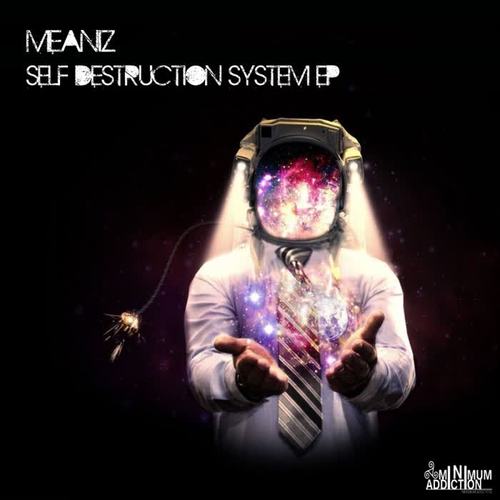 Self Destruction System