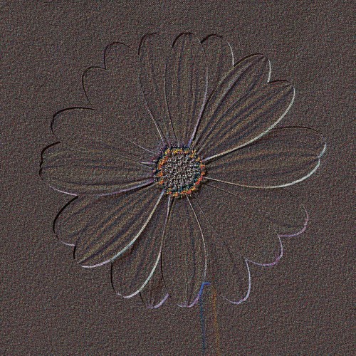 Pusteblume