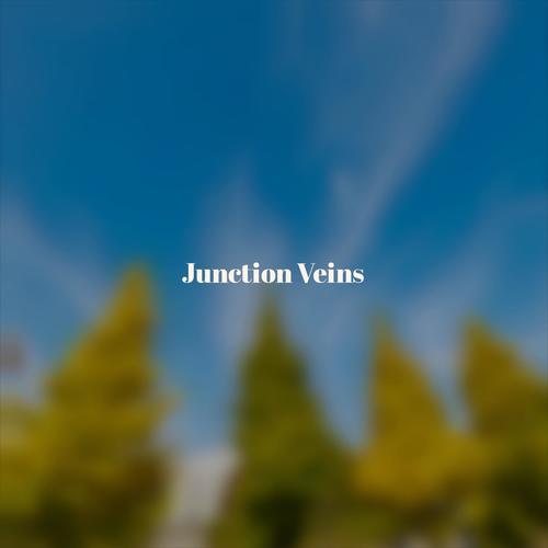 Junction Veins