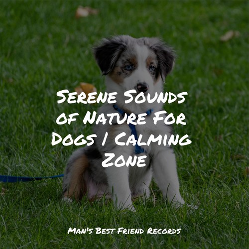 Serene Sounds of Nature For Dogs | Calming Zone