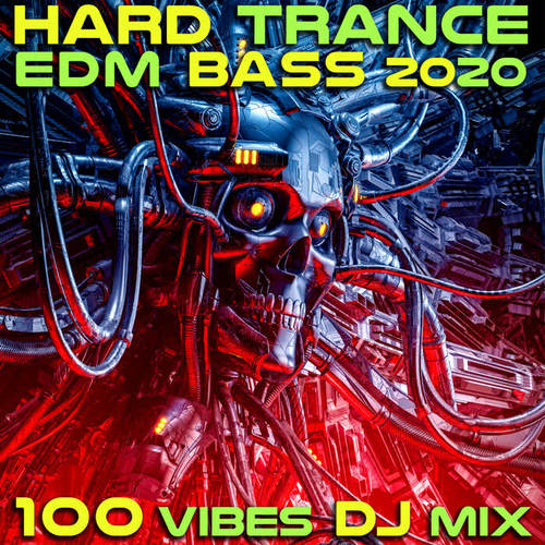 Hard Trance EDM Bass 2020 100 Vibes DJ Mix