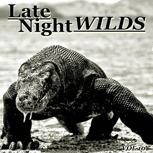 Late Night Wilds, Vol. 10