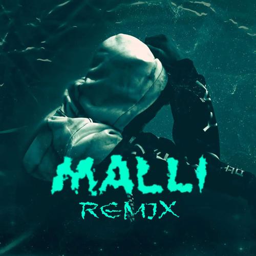 Malli (feat. Dafina Zeqiri, Elvana Gjata & BARDHI)