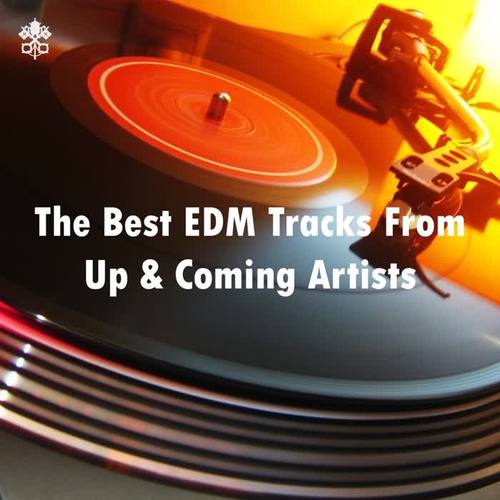 The Best EDM Tracks From Up & Coming Artists