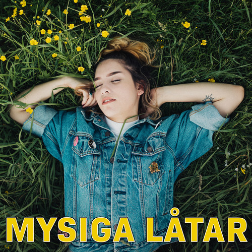 Mysiga Låtar (Explicit)