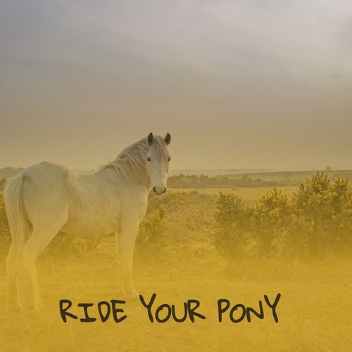 Ride Your Pony