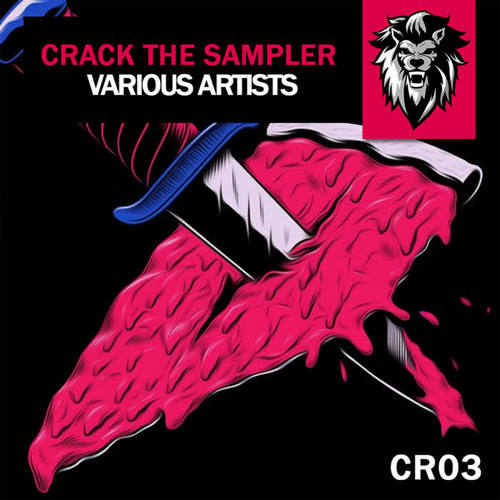 Crack The Sampler #01